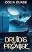 Druid's Promise by Colin Dunne