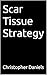 Scar Tissue Strategy