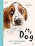 My Dog: Everything You Need to Know About Owning a New Pet