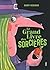 Le grand livre des sorcières by Benoît Debecker