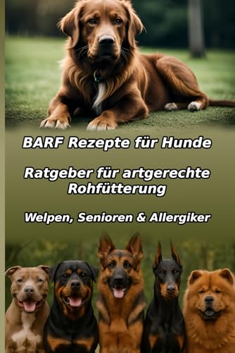 BARF Rezepte für Hunde: Einfach & Lecker: Der komplette Ratgeber für artgerechte Rohfütterung. Gesunde Hundeernährung selber machen – mit vielen Tipps ... Senioren & Allergiker. (German Edition)