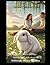 Captain Snowball's Love: inspired by a True Story of Love, Hope and the Bunny Who Saved Me