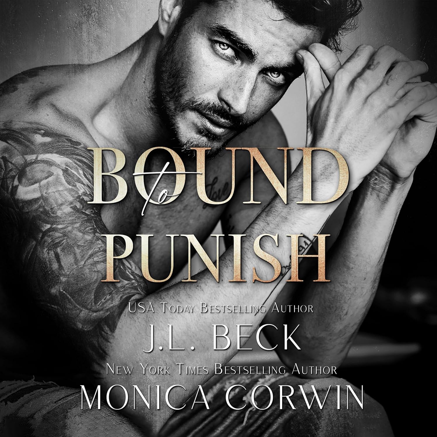 Bound to Punish (Doubeck Crime Family, 6)