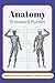 Anatomy Crossword Puzzles: ...