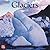 Glaciers 2011 Calendar