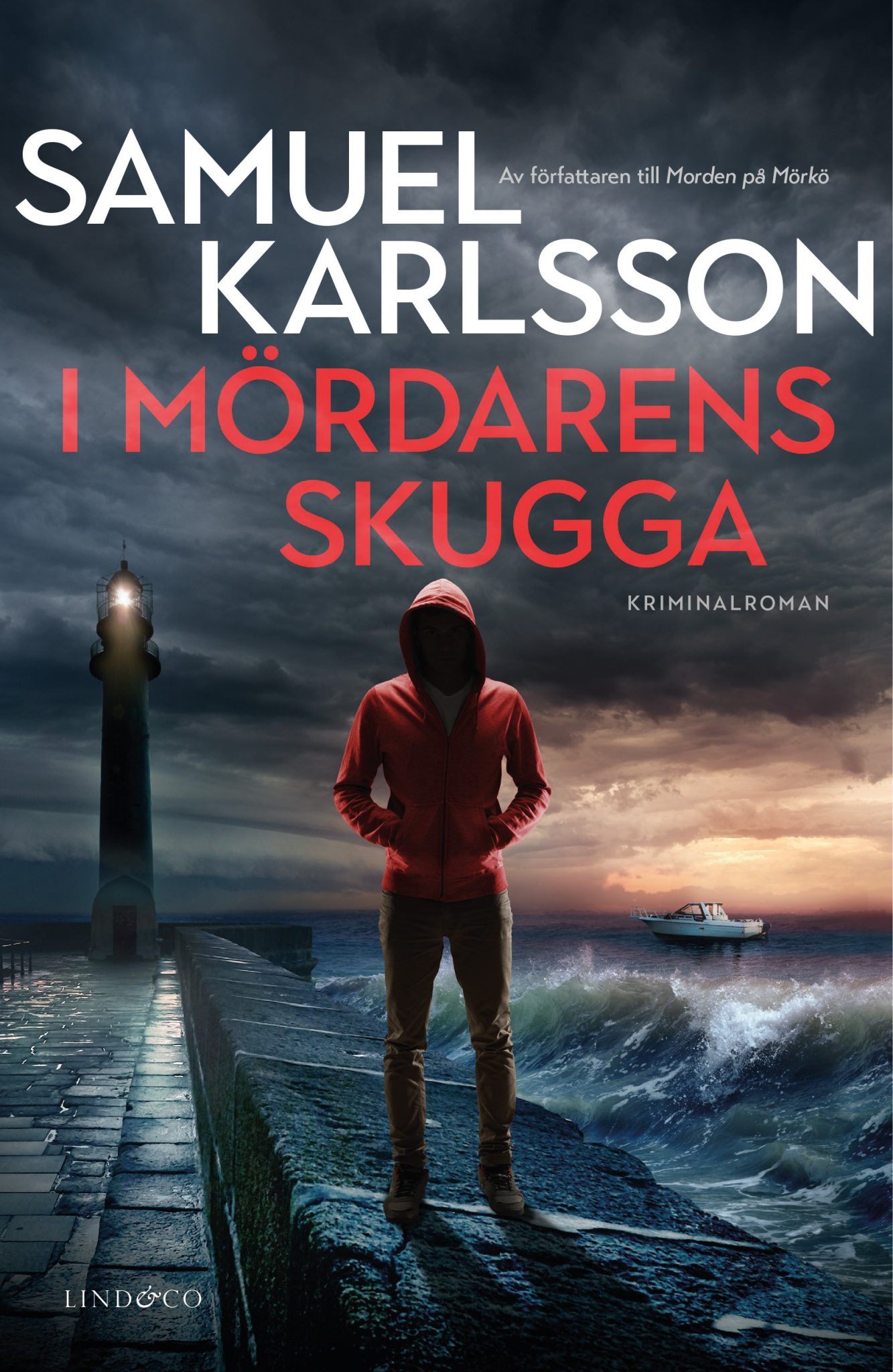 I mördarens skugga (Jessica Jackson #2)