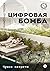 Цифровая бомба