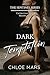 Dark Temptation: The Sentinel Series: Collection One; Books 1-5 (The Sentinel Series: A Billionaire Vigilante Romance Series)