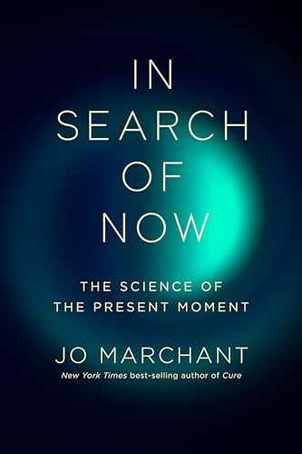 In Search of Now: The Science of the Present Moment (Hardcover)