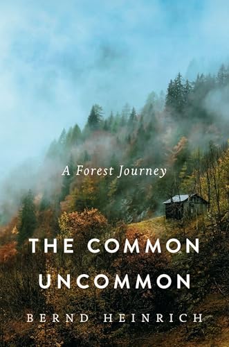 The Common Uncommon: A Forest Journey (Hardcover)