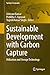 Sustainable Development with Carbon Capture: Utilization and Storage Technology (volume 1) (Springer Geography)