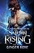 Saturn Rising (The Vaida Love Chronicles)