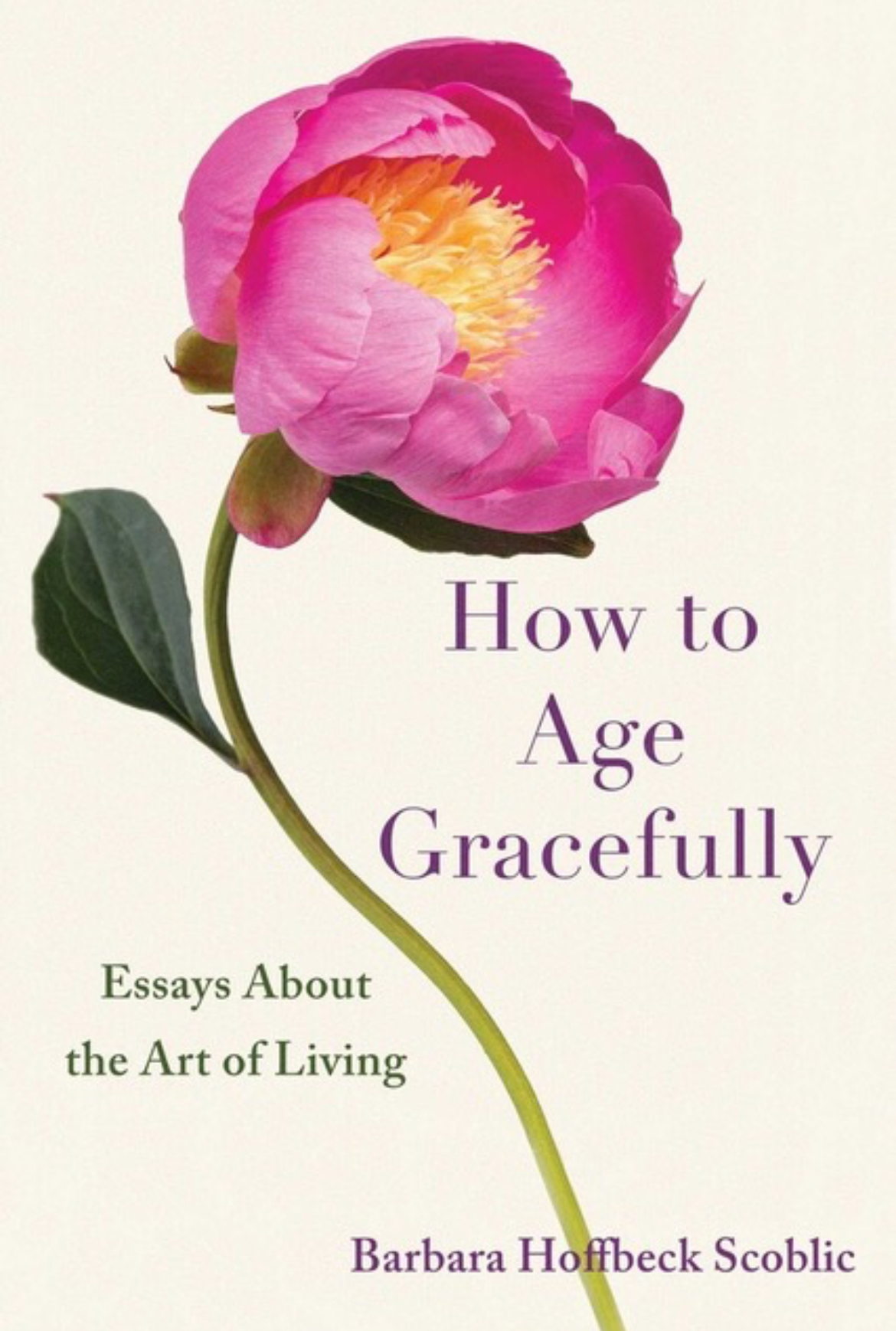 How to Age Gracefully: Essays About the Art of Living