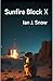 Sunfire Block X (Sunfire Chronicles Book 1)