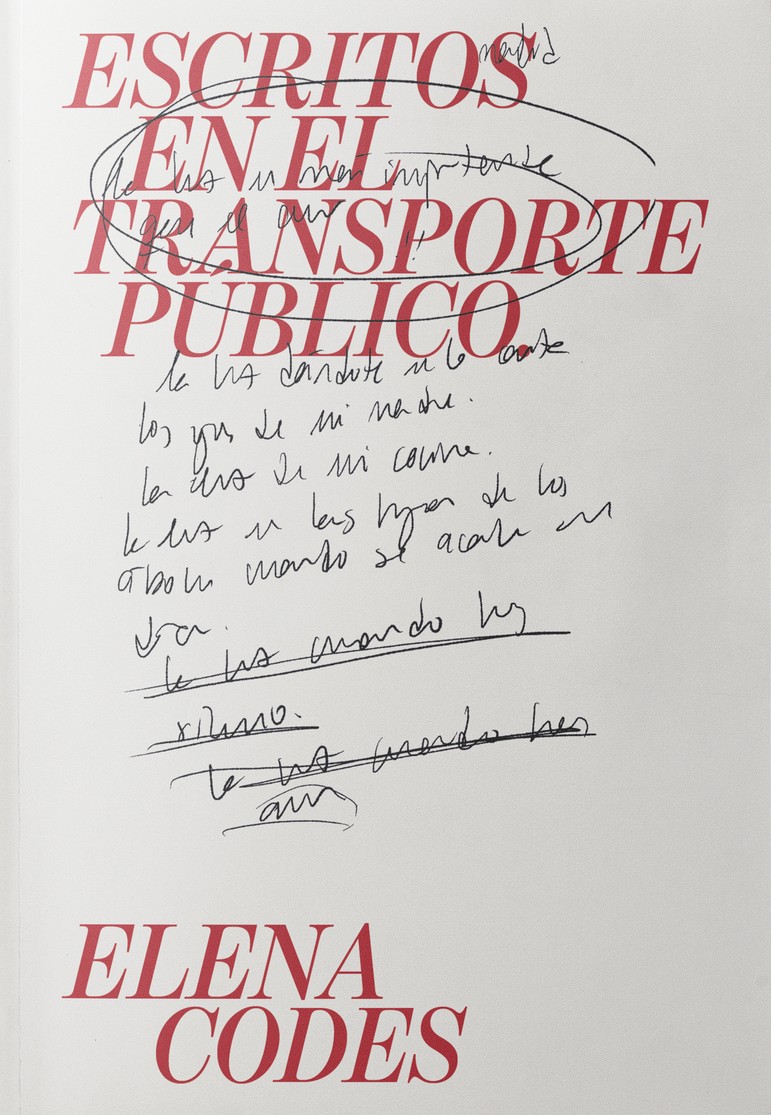 Escritos en el transporte público (Paperback)