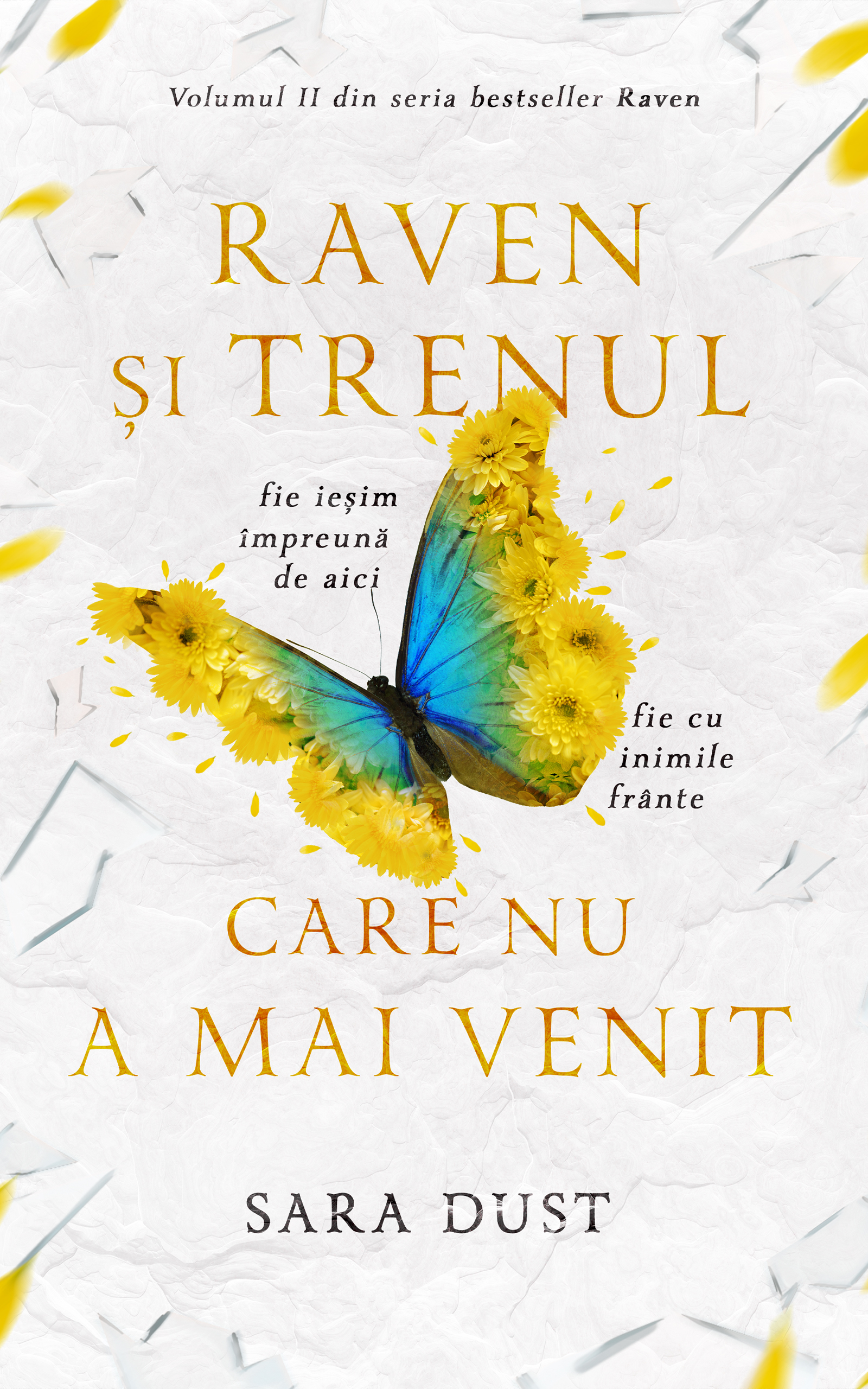 Raven și trenul care nu a mai venit (Raven #2)