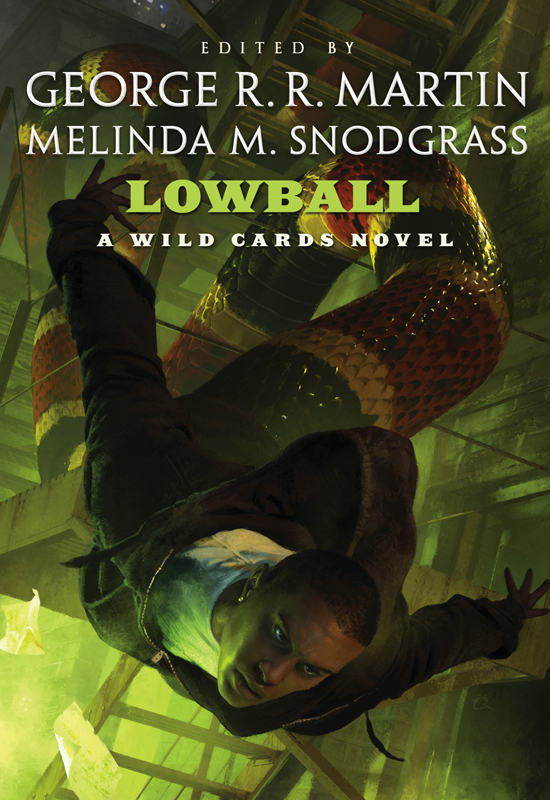 Lowball (Wild Cards, #22)