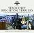 The Stroudley Brighton Terriers: A Tale of Locomotive Artistry and Success