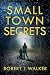 Small Town Secrets (Thrille...