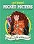Pocket Potters; เฮอร์ไมโอนี่ เกรนเจอร์ (Pocket Potters, #3)
