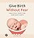 Give Birth Without Fear: Practical Tools for a Confident Birth