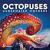 Octopuses - Under...