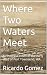 Where Two Waters Meet: A Historical novel of the early days of Port Townsend, WA