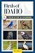Birds of Idaho Field Guide ...