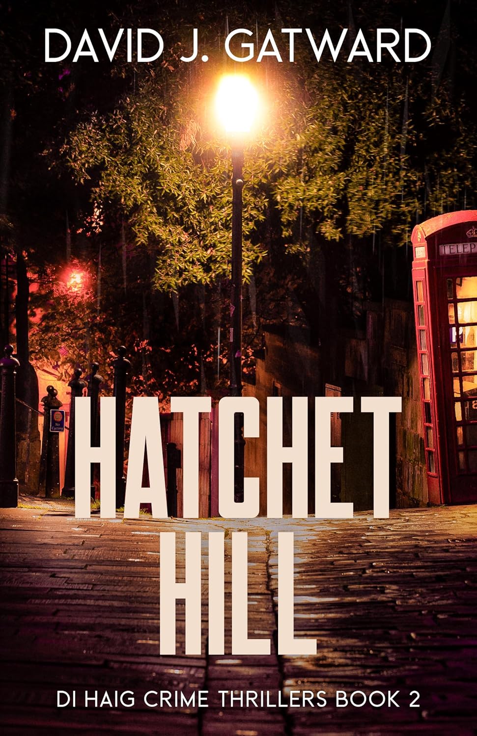 Hatchet Hill (DI Haig Crime Thrillers, #2)