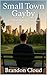 Small Town Gayby A Fictional Memoir of Conversion, Cancer, and Coming Out Loud by Brandon Cloud