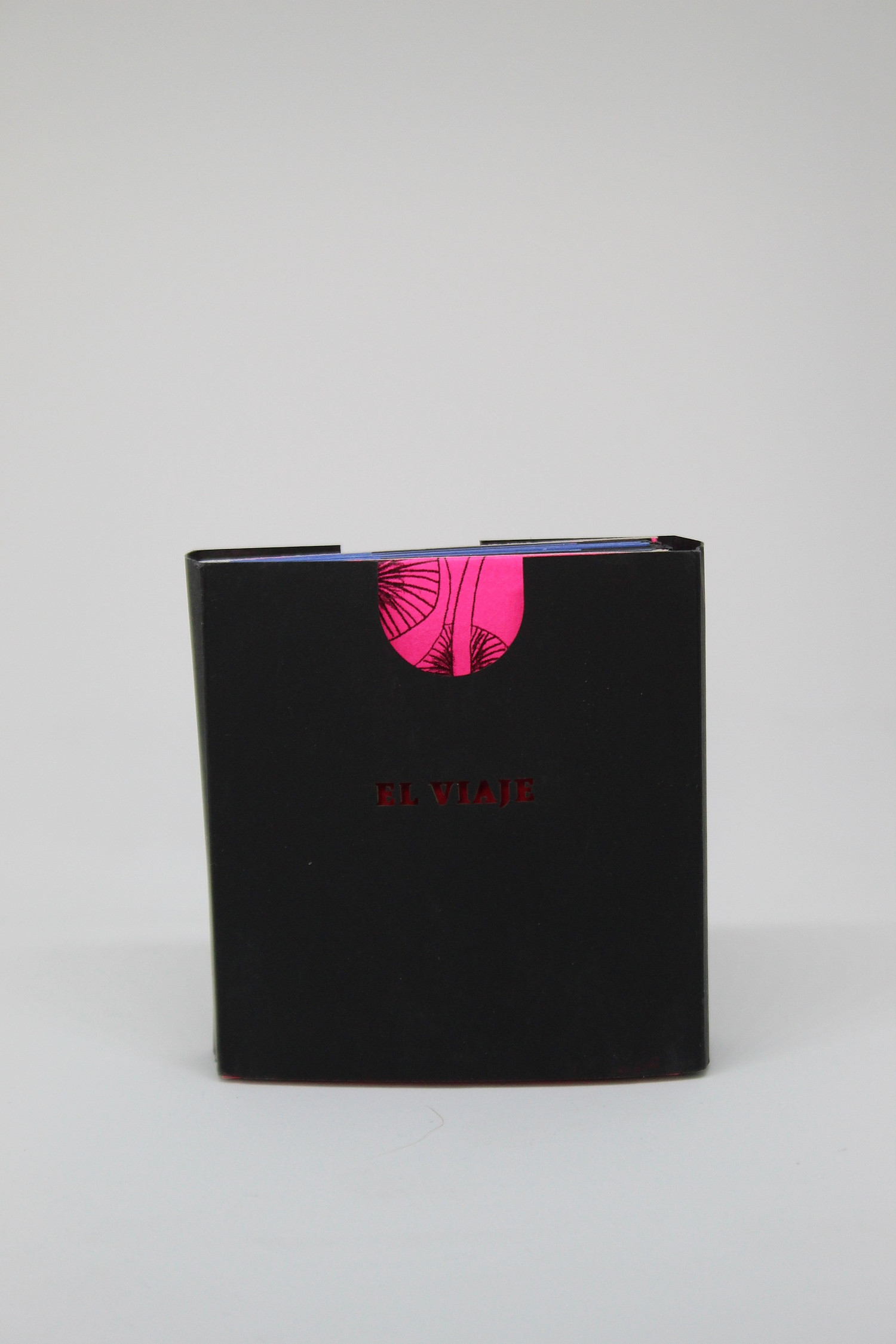 El viaje