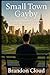 Small Town Gayby A Fictional Memoir of Conversion, Cancer, and Coming Out Loud by Brandon Cloud