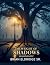 The Weight of Shadows: An A...