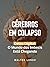 Cérebros em Colapso (Portuguese Edition)