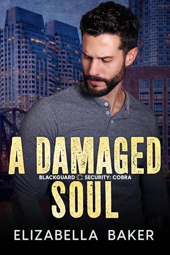 A Damaged Soul (Blackguard Security Book 8)