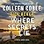 Where Secrets Lie (Tupelo Grove)