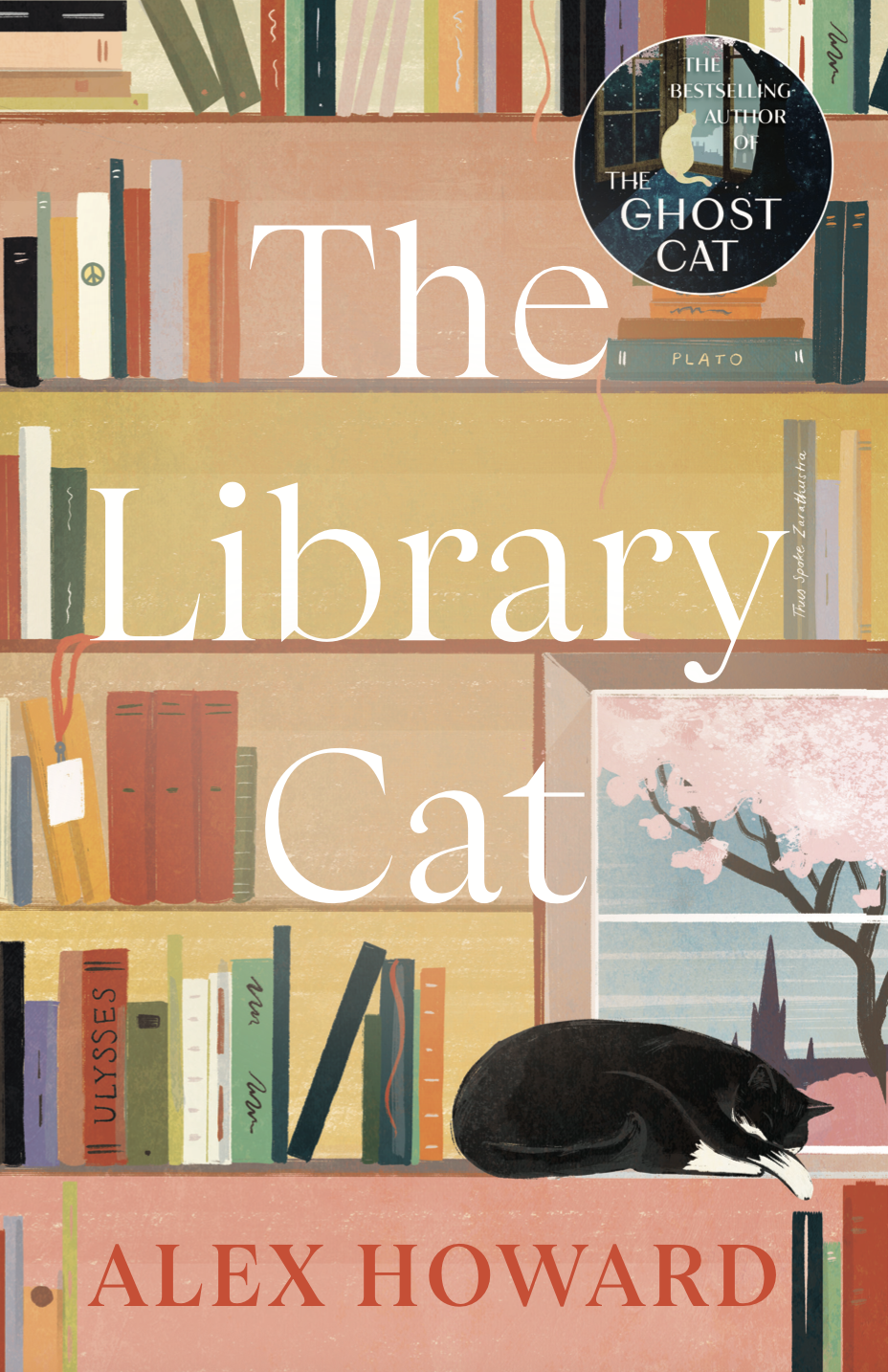 The Library Cat