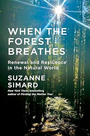 When the Forest Breathes: Renewal and Resilience in the Natural World