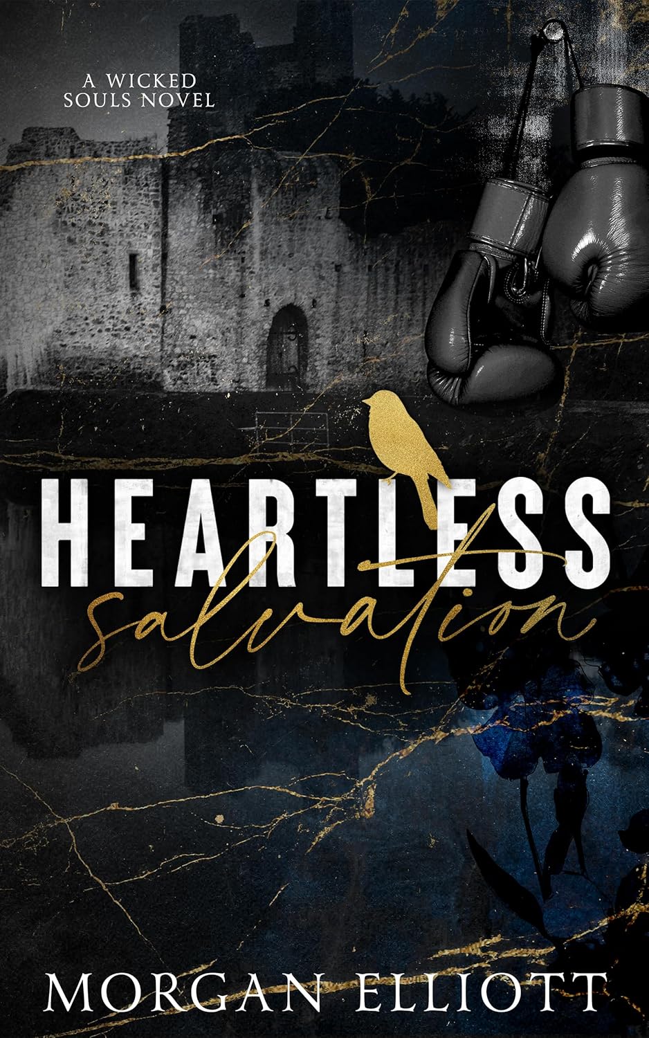 Heartless Salvation (Wicked Souls #4)