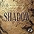 Shadow of Truth - Gejagt im...