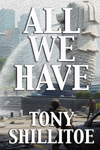 All We Have: the after now diaries (Paperback)