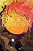 Echoes of Destruction (The First Matter Saga)