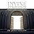 Divine Renovation by James Mallon