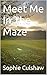 Meet Me In The Maze