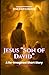 Jesus "Son of David": A Re-imagined Short Story