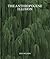 The Anthropocene Illusion