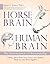 Horse Brain, Human Brain