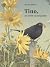 Tino, un mirlo en mi jardín by Nicolas Jolivot