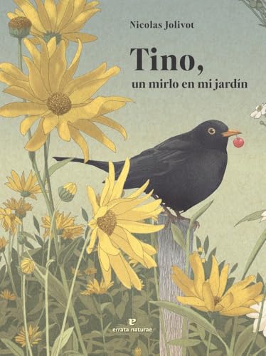 Tino, un mirlo en mi jardín (Hardcover)
