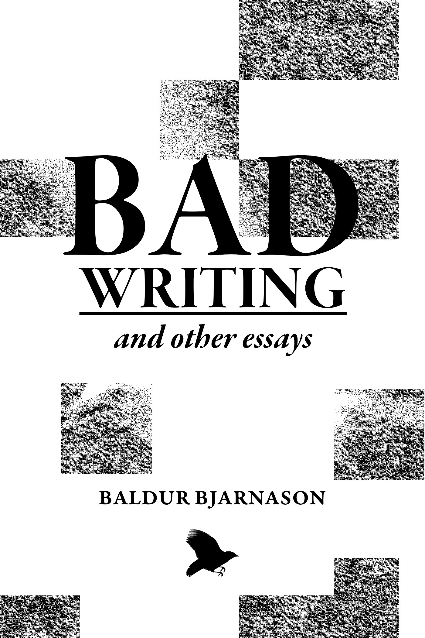Bad Writing and other essays